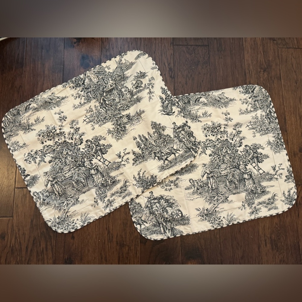 Pair of Waverly Garden Room Black Ivory Toile Standard Sham Gingham Edge